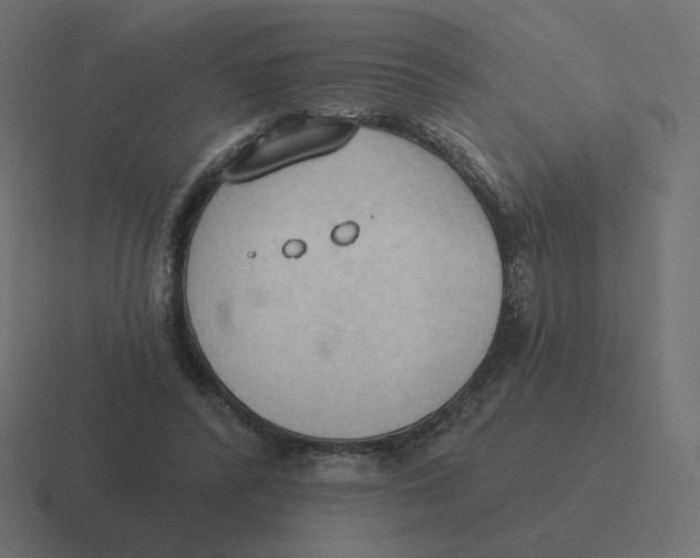 X0000116510400200912292148