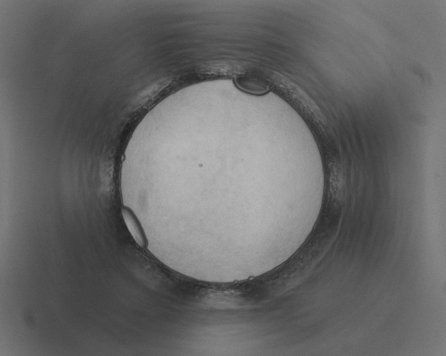 X0000116510403200912292148