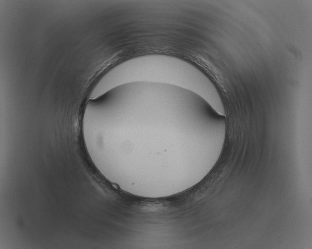 X0000116510405200912292148