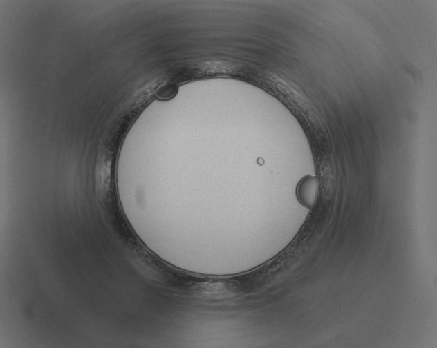 X0000116510406200912292148