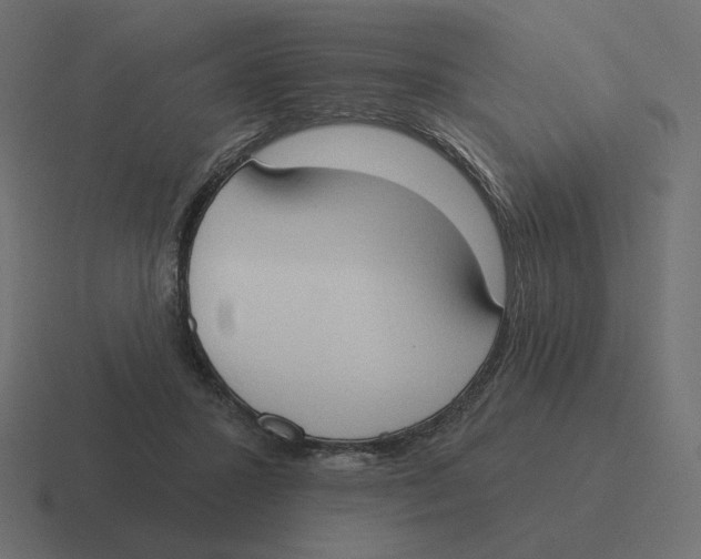 X0000116510407200912292148