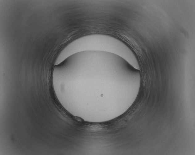 X0000116510409200912292148