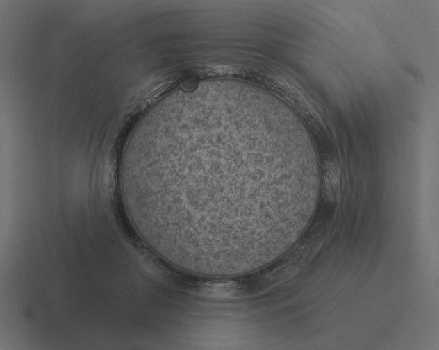 X0000116510410200912292148