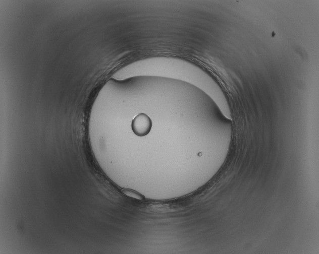 X0000116510413200912292148