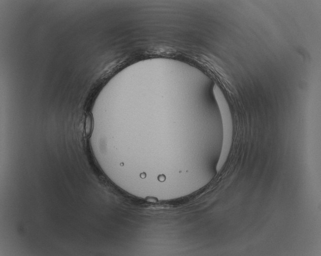 X0000116510415200912292148