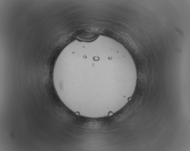 X0000116510416200912292148