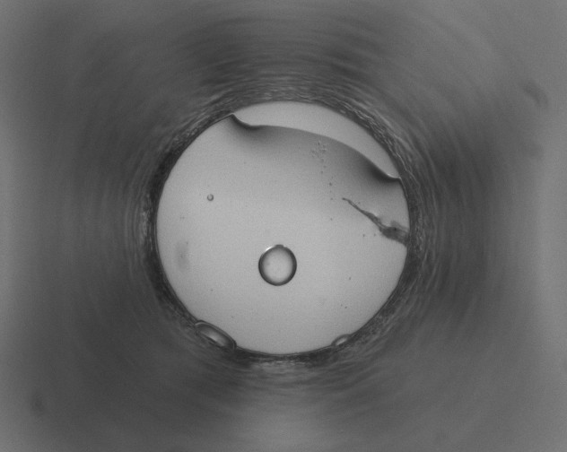 X0000116510417200912292148