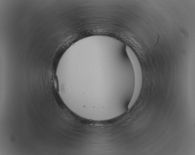 X0000116510419200912292148