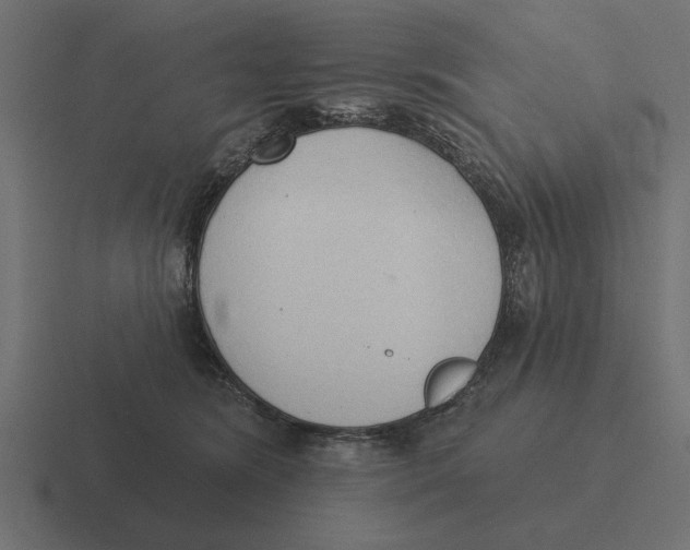 X0000116510420200912292148