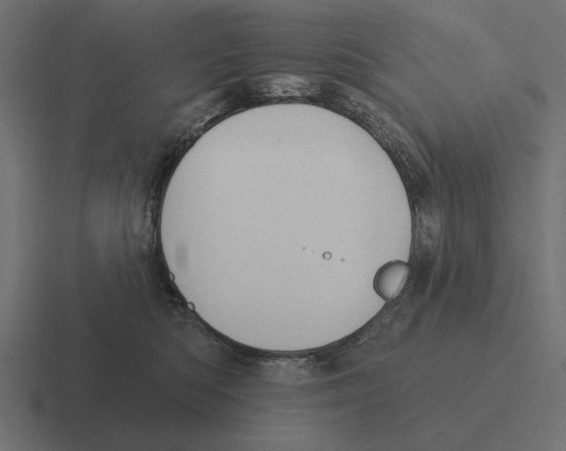 X0000116510422200912292148