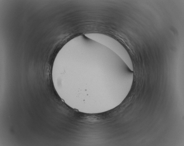 X0000116510423200912292148