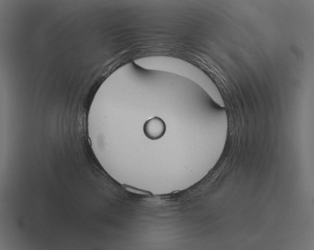 X0000116510425200912292148