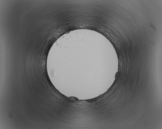 X0000116510427200912292148