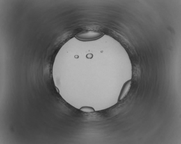 X0000116510428200912292148