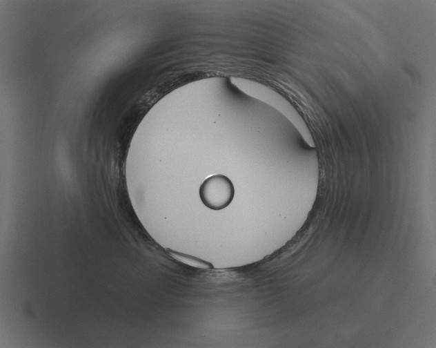 X0000116510429200912292148