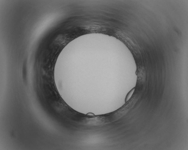 X0000116510430200912292148