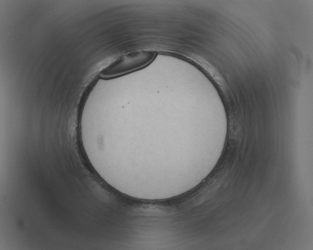 X0000116510437200912292147