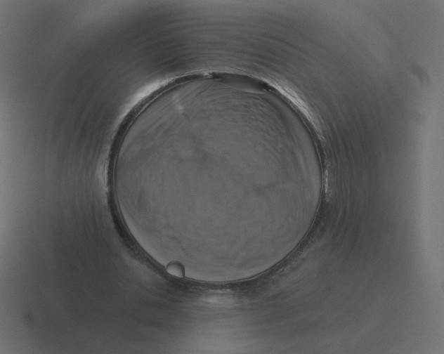 X0000116510438200912292147