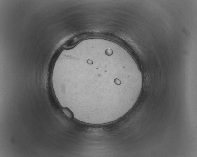 X0000116510440200912292147