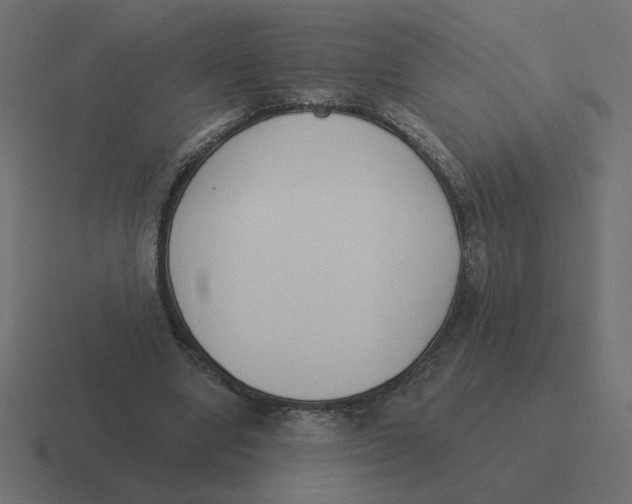 X0000116510442200912292147