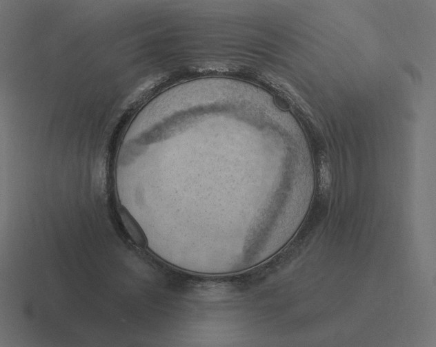 X0000116510444200912292147