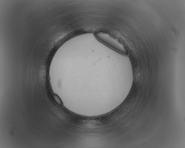 X0000116510448200912292147