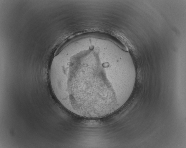 X0000116510449200912292147