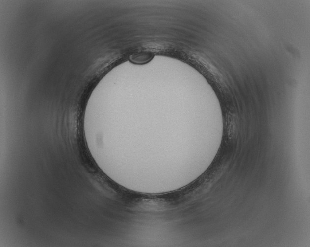 X0000116510455200912292147