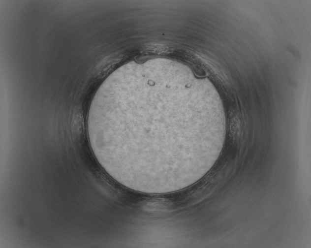 X0000116510459200912292147