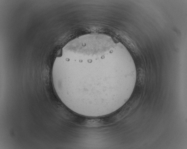 X0000116510461200912292147