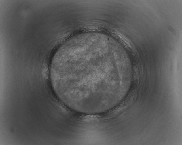 X0000116510465200912292147