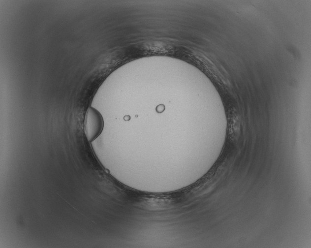 X0000116510466200912292148