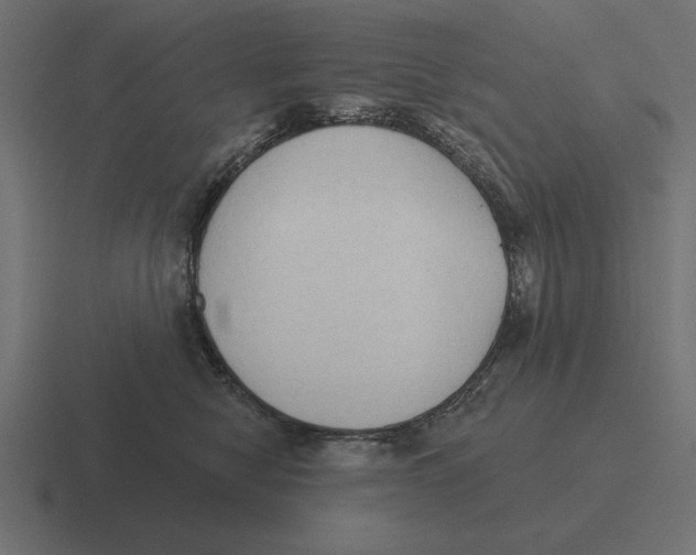 X0000116510470200912292148