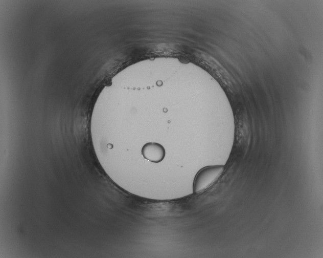 X0000116510473200912292148