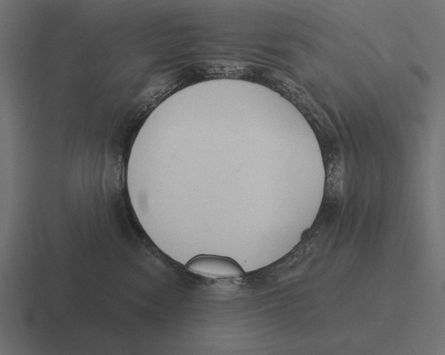 X0000116510474200912292148