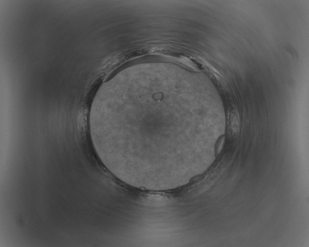 X0000116510475200912292148