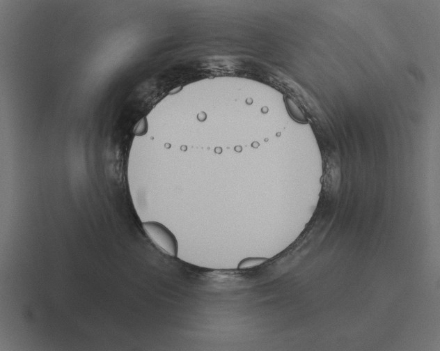 X0000116510477200912292148