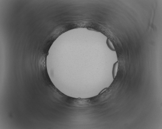 X0000116510479200912292148