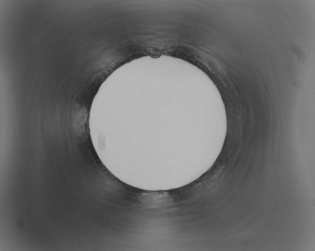 X0000116510480200912292148