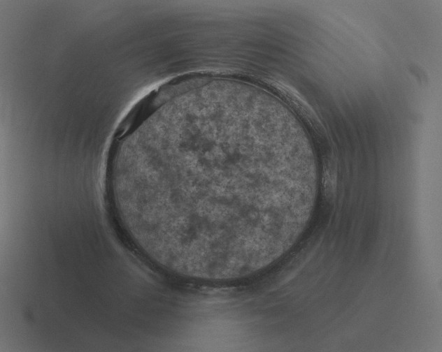 X0000116510484200912292147