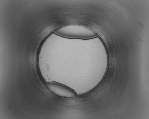 X0000116510485200912292147