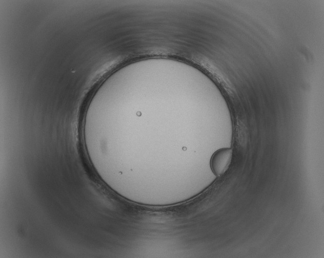 X0000116510486200912292147