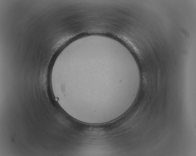 X0000116510487200912292147