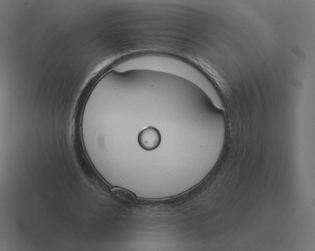 X0000116510488200912292147