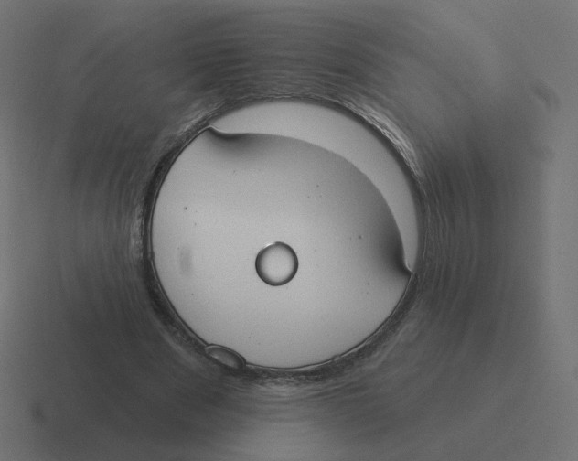 X0000116510489200912292147