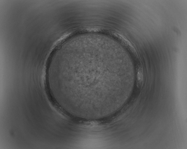 X0000116510492200912292147