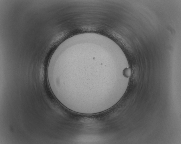 X0000116510494200912292147