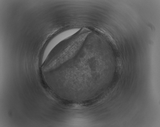 X0000116510496200912292147