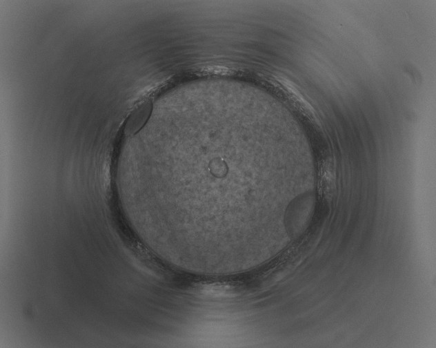 X0000116510500200912292147