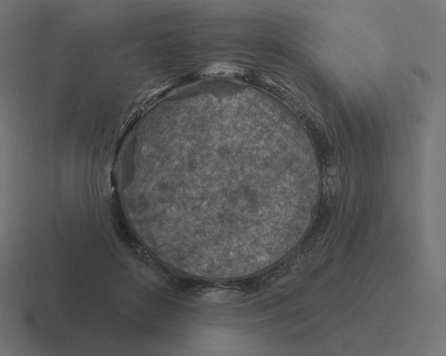 X0000116510504200912292147